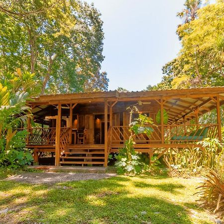 Casa Viva Lodge Puerto Viejo de Talamanca Bagian luar foto