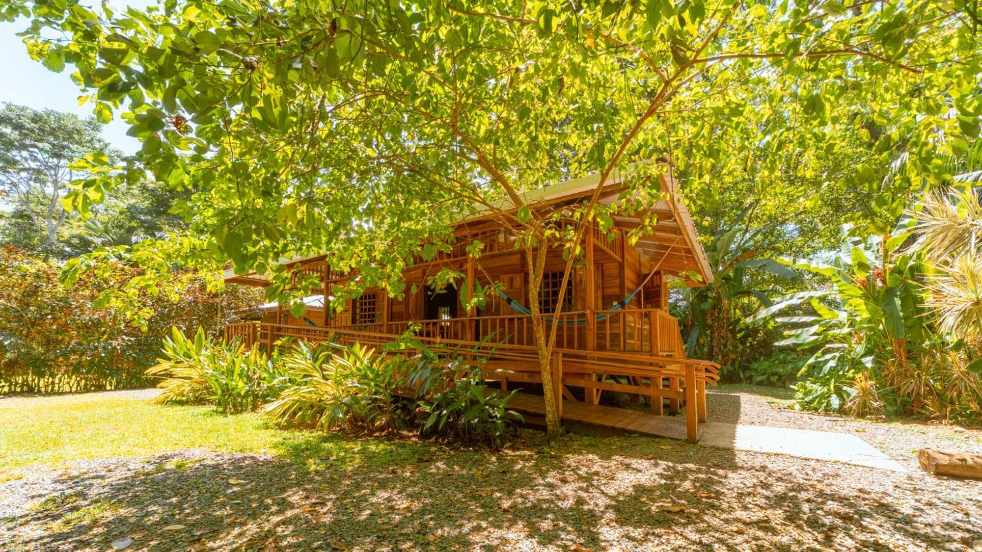 Casa Viva Lodge Puerto Viejo de Talamanca Bagian luar foto