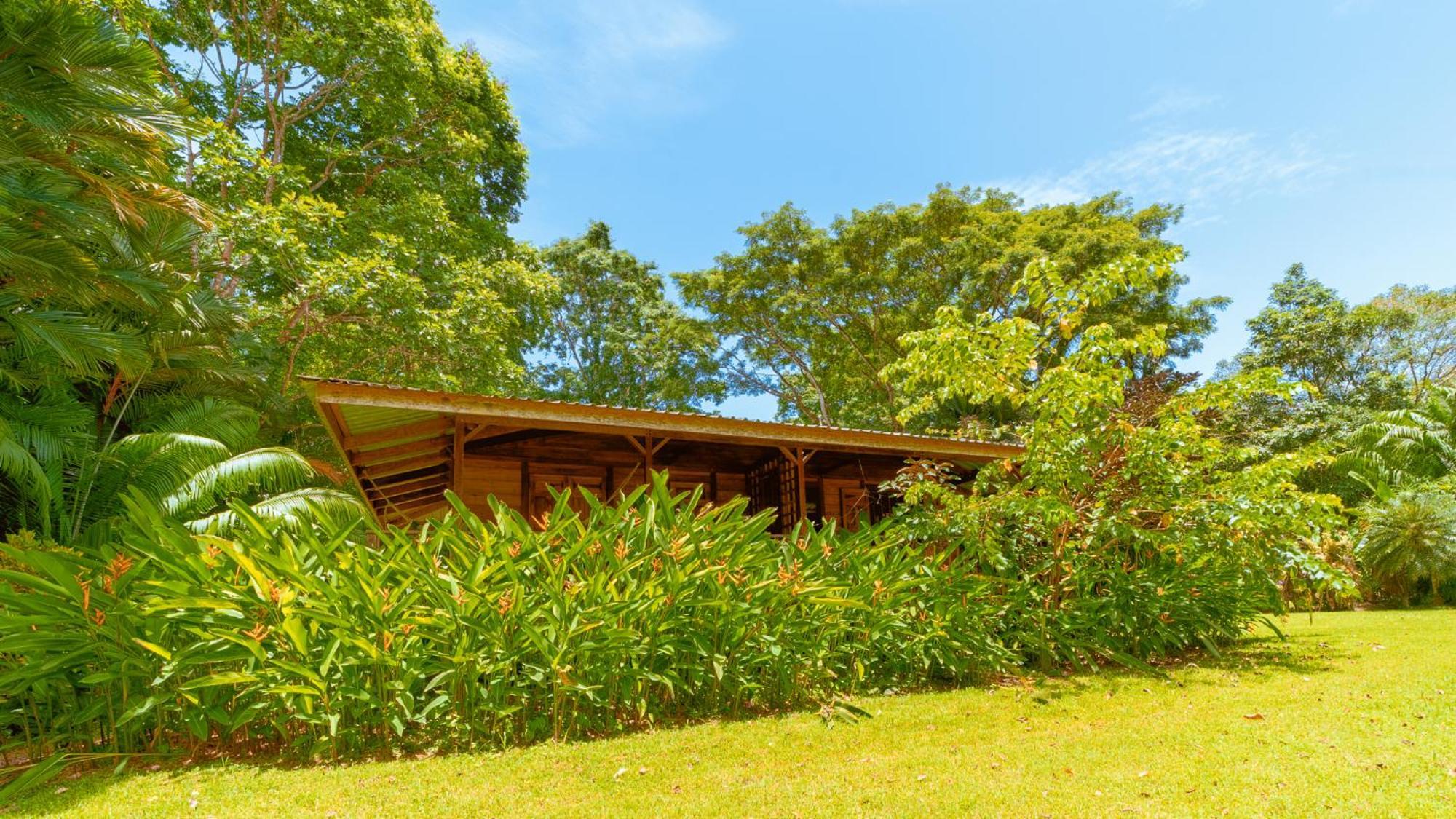 Casa Viva Lodge Puerto Viejo de Talamanca Bagian luar foto