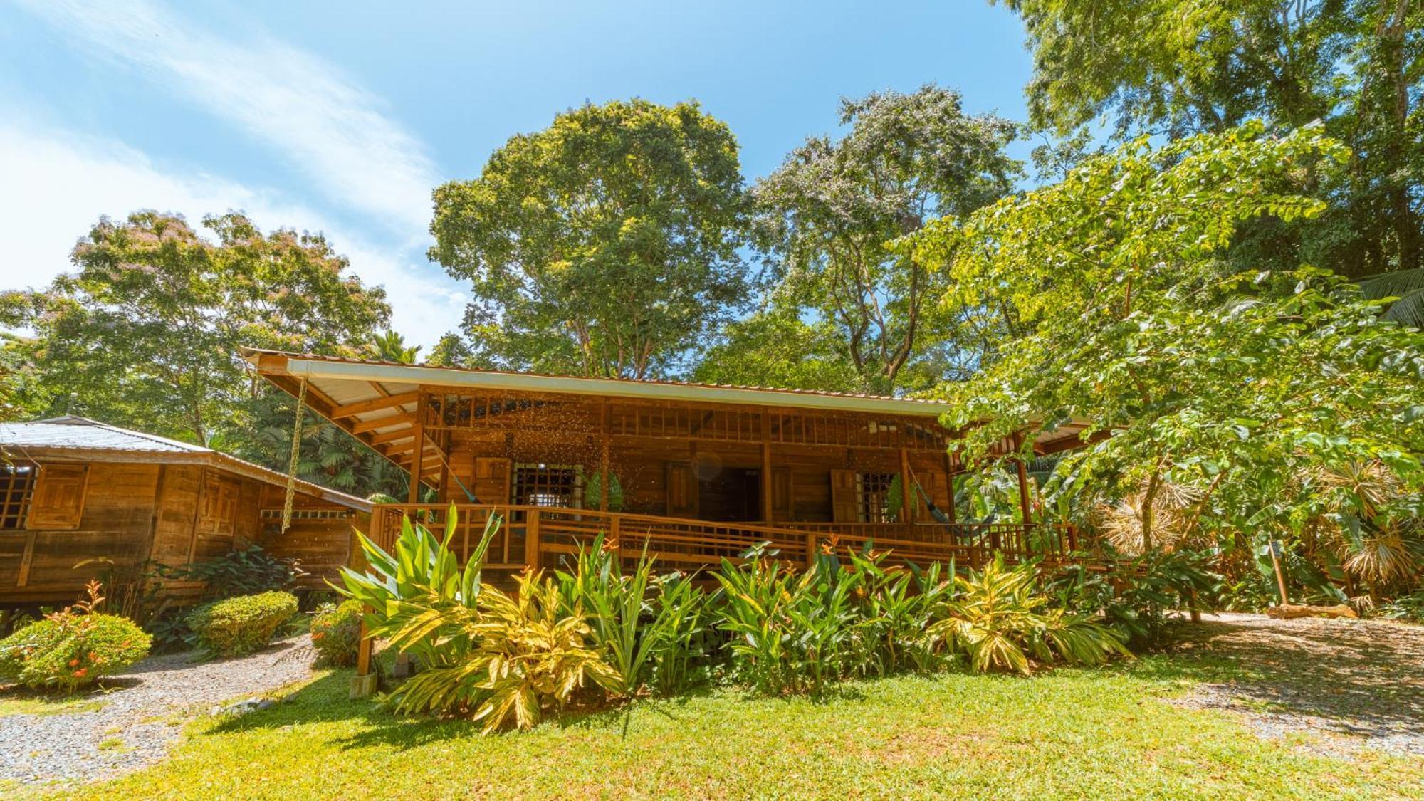 Casa Viva Lodge Puerto Viejo de Talamanca Bagian luar foto
