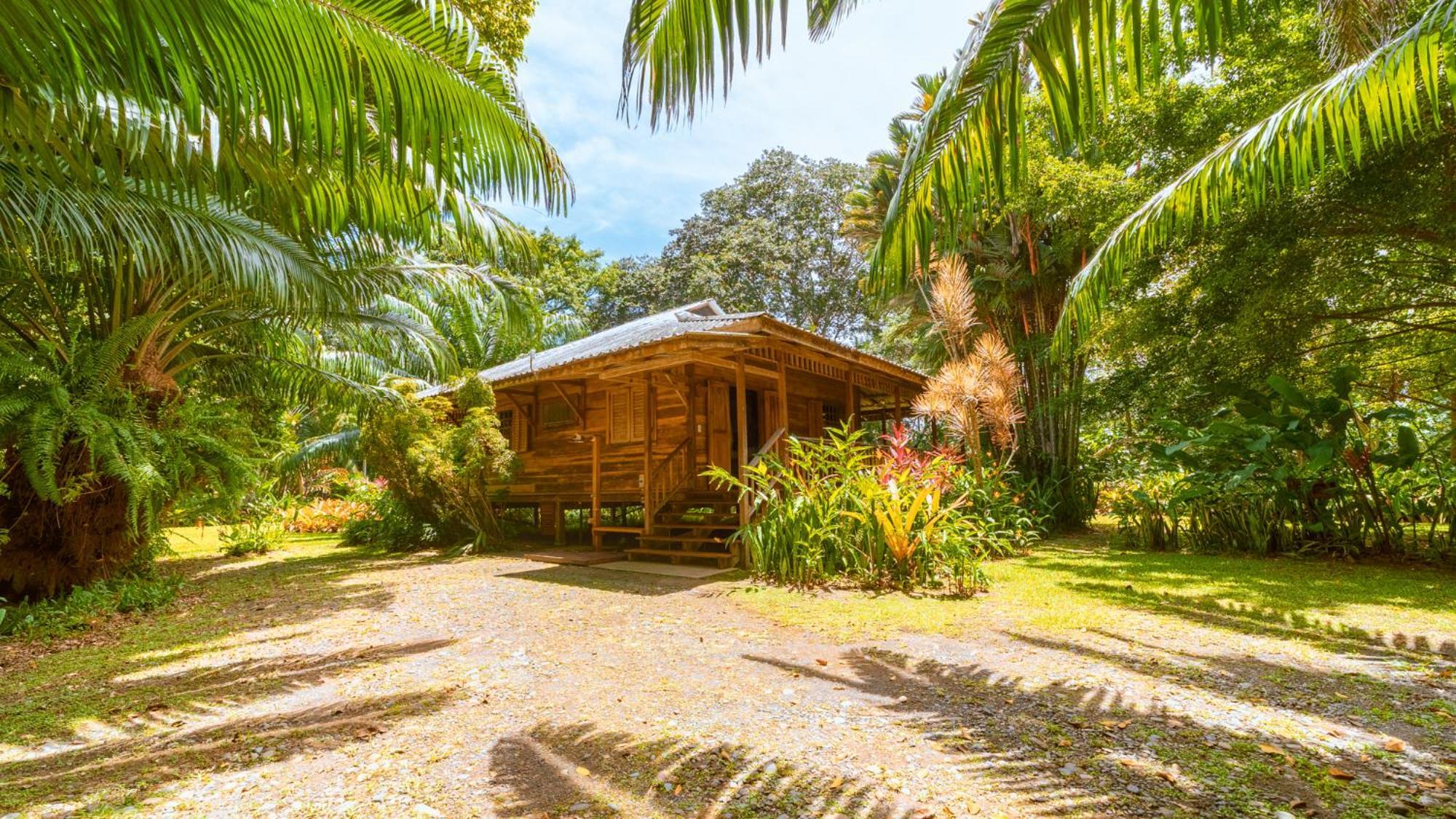Casa Viva Lodge Puerto Viejo de Talamanca Bagian luar foto