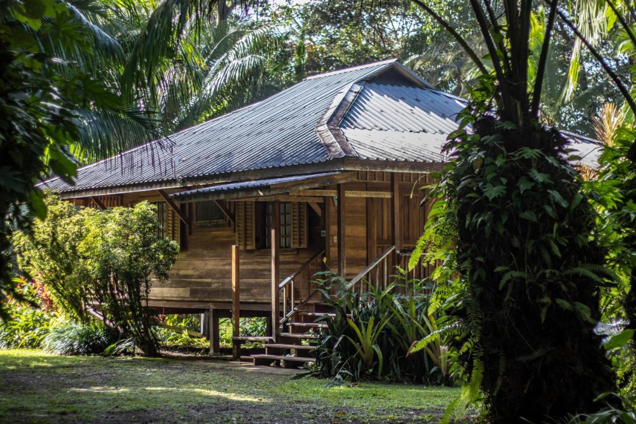 Casa Viva Lodge Puerto Viejo de Talamanca Bagian luar foto