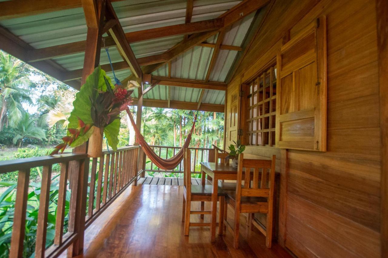 Casa Viva Lodge Puerto Viejo de Talamanca Bagian luar foto