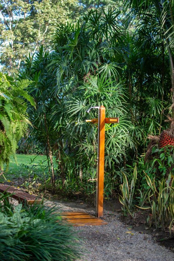 Casa Viva Lodge Puerto Viejo de Talamanca Bagian luar foto