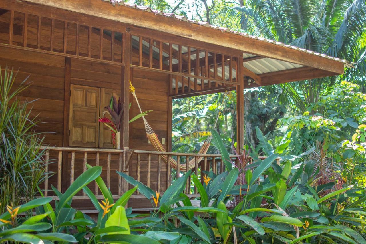 Casa Viva Lodge Puerto Viejo de Talamanca Bagian luar foto
