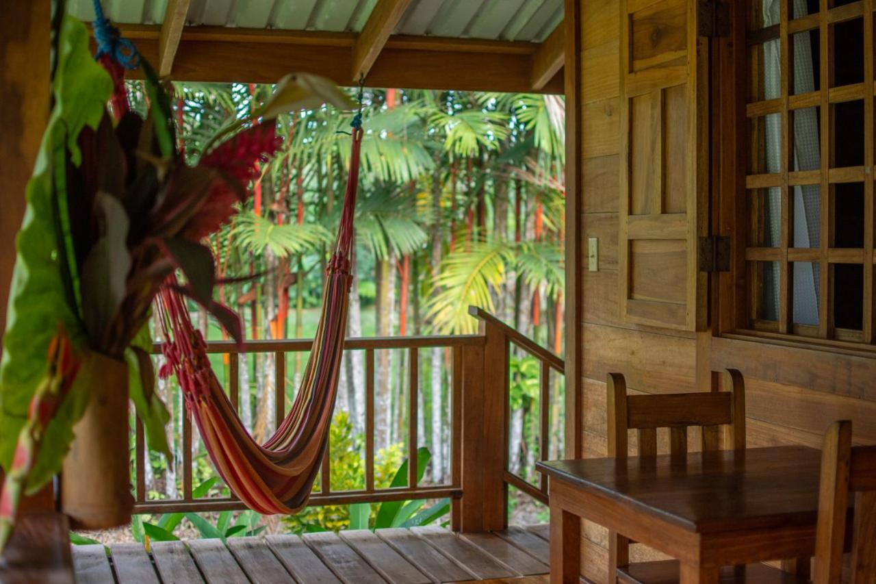 Casa Viva Lodge Puerto Viejo de Talamanca Bagian luar foto