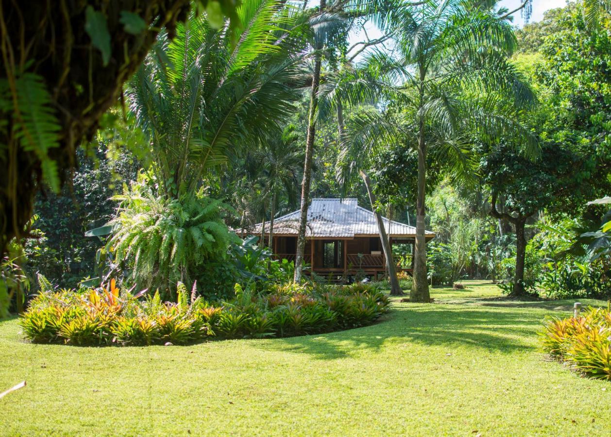Casa Viva Lodge Puerto Viejo de Talamanca Bagian luar foto